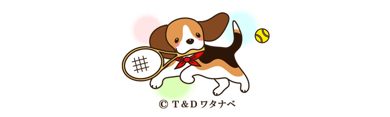 T&Dワタナベ
