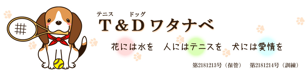 T&Dワタナベ